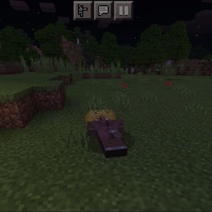 Meet your Posher, Natalia